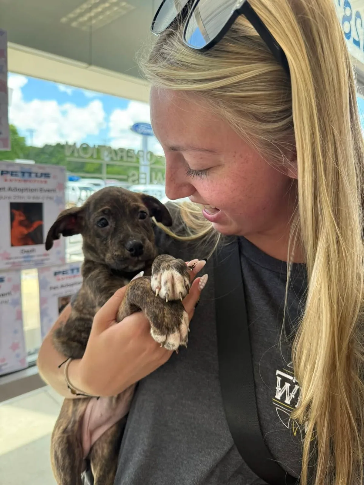 A visitor holding a brindle puppy during a Waggin' Wednesday visit
