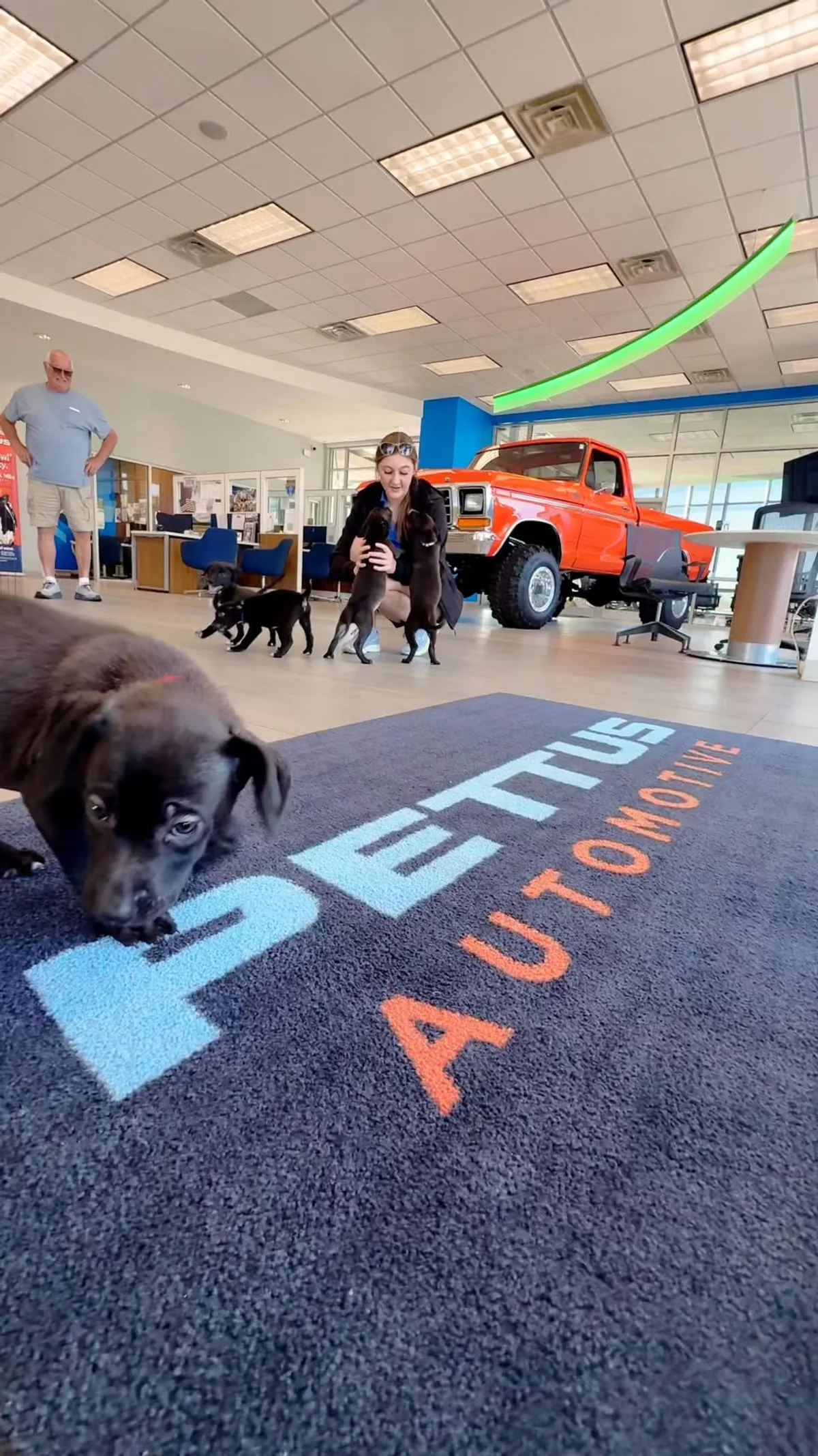 Puppies and community visitors filling the Pettus Ford De Soto showroom